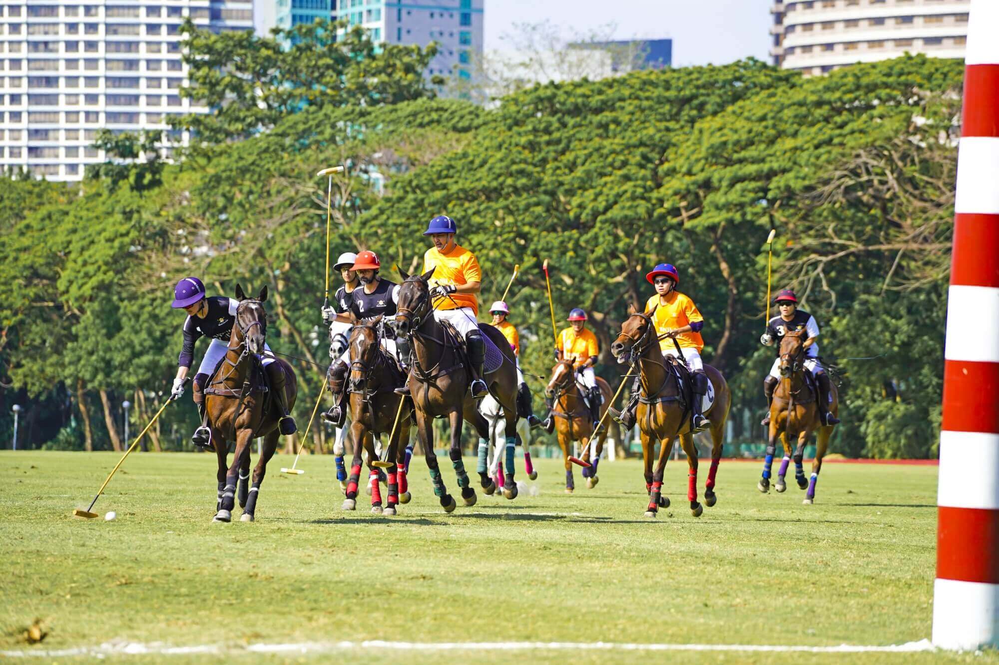 Polo Manila Polo Club