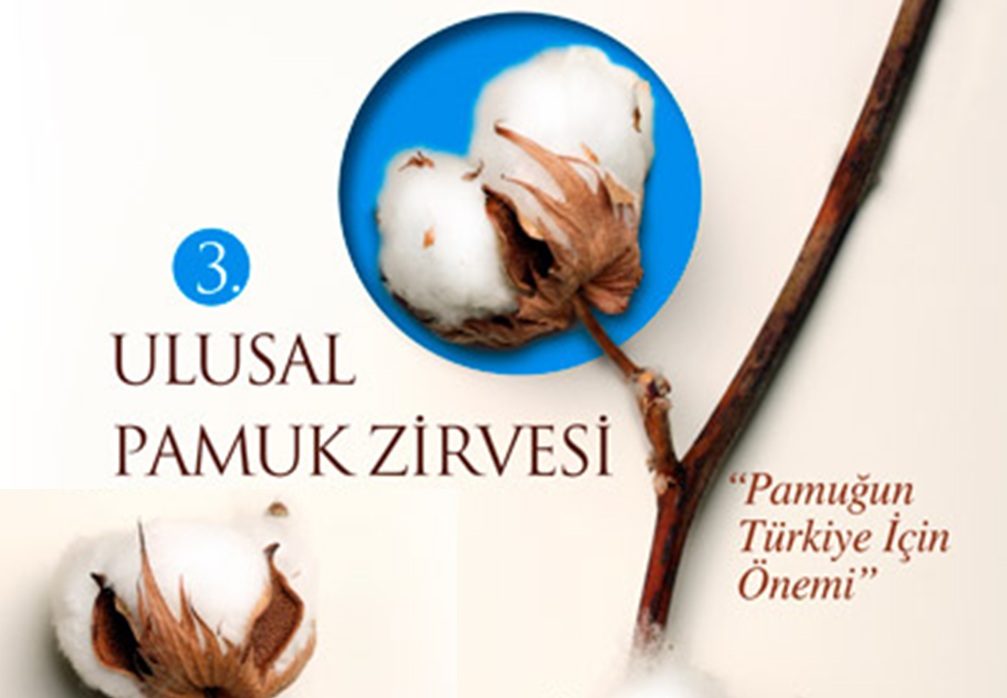 3.ULUSAL PAMUK ZİRVESİ?NDE PAMUK TARIMININ ÖNEMİ VE SORUNLARI ELE