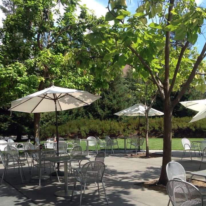 CCET 4 oncampus beverages you should be drinking