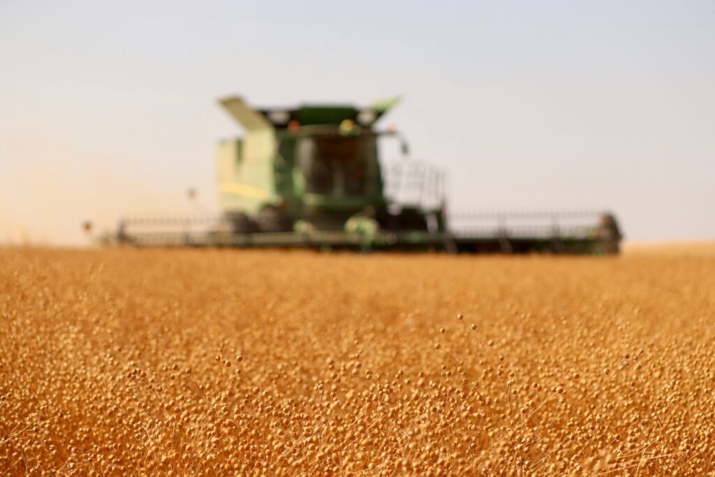 flax harvest Manitoba Flax Seed Milling Company