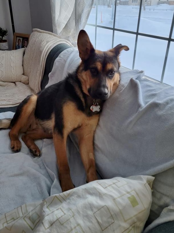 Sephora Manitoba Mutts Dog Rescue