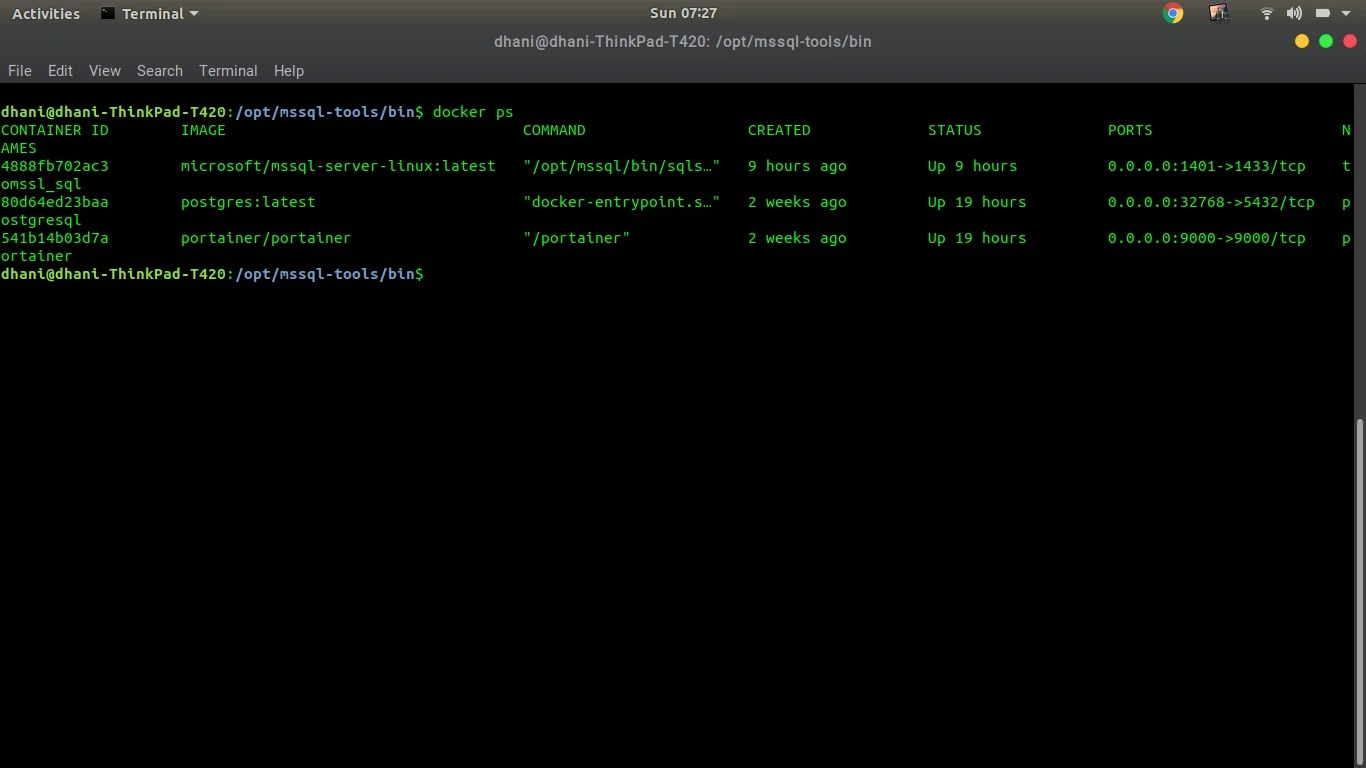 docker ps Manjaro dot site