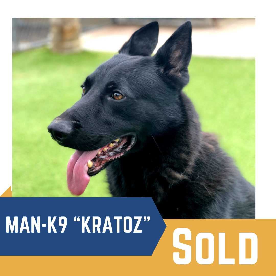 Personal Protection Dogs and Guard Dogs for Sale San Diego CA