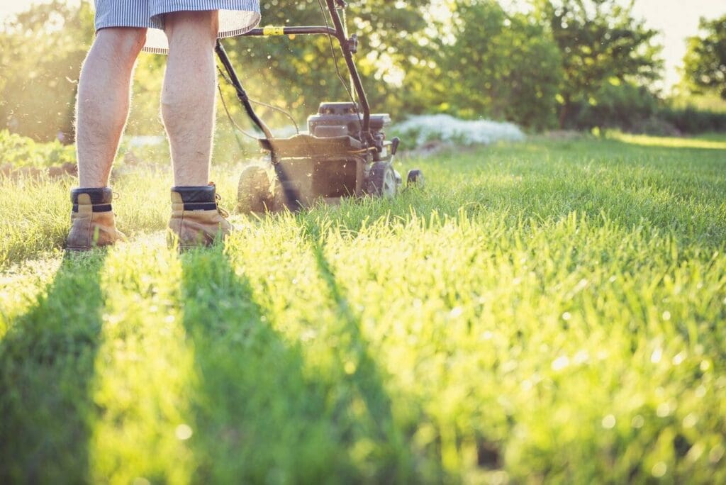 Lawn Mowing Tips to Ease Allergies Mankato Clinic