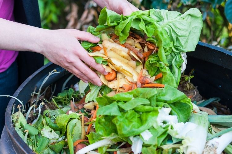 Composting your kitchen food waste is easy! Manly Food Cooperative