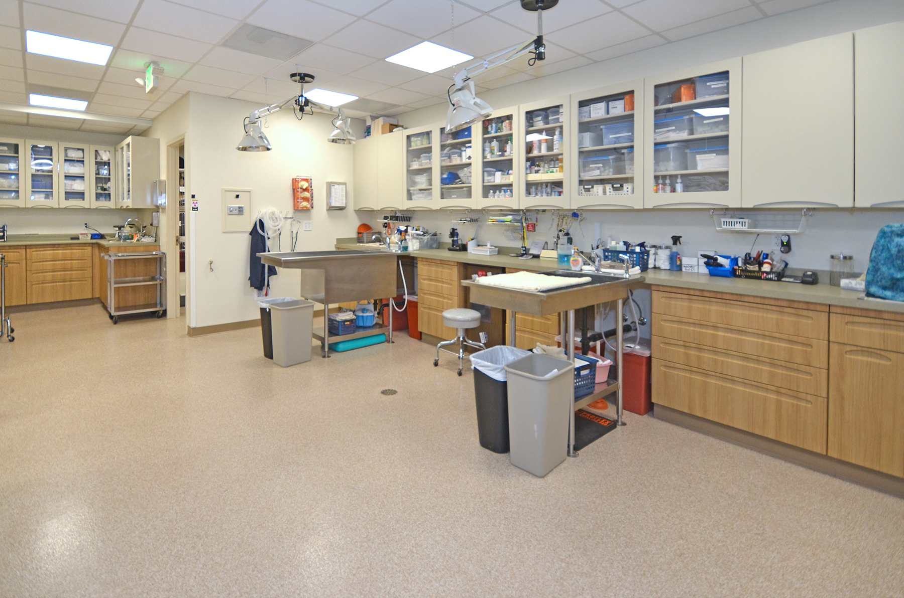 Harbor Veterinary Clinic Manning Development