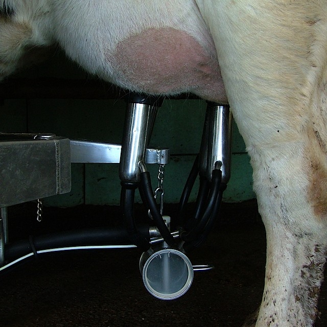 Manning Farm Dairy Products