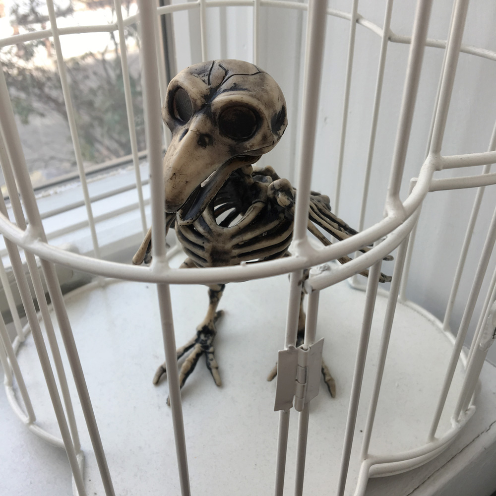 Similar to the gospire acrylic paint rack (#7), this acrylic display organizer will hold your … Repainting a plastic bird skeleton Halloween prop