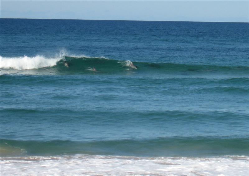 Manning Point Unit, Holiday Mid North Coast, Manning Point
