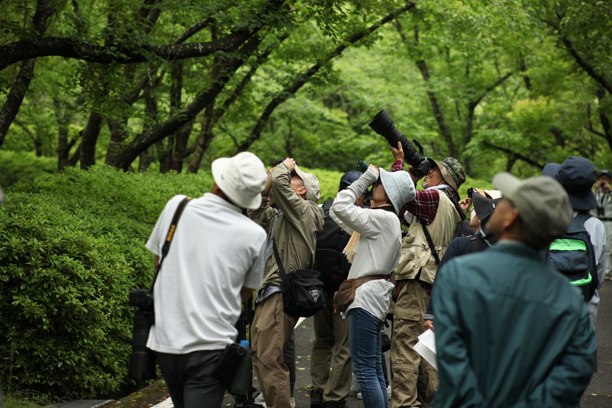 19日の野鳥観察会の様子が、中讃TVで放送されます。
