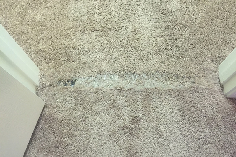 Carpet Cleaning Riverview FL Carpet Repair Quotes