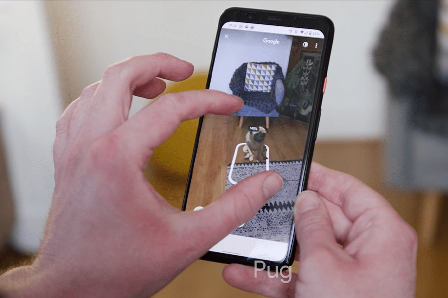 What Are Google 3D Animals? Man of Many