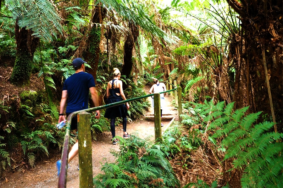 13 Best Walks Near Melbourne for Some Fresh Air Man of Many