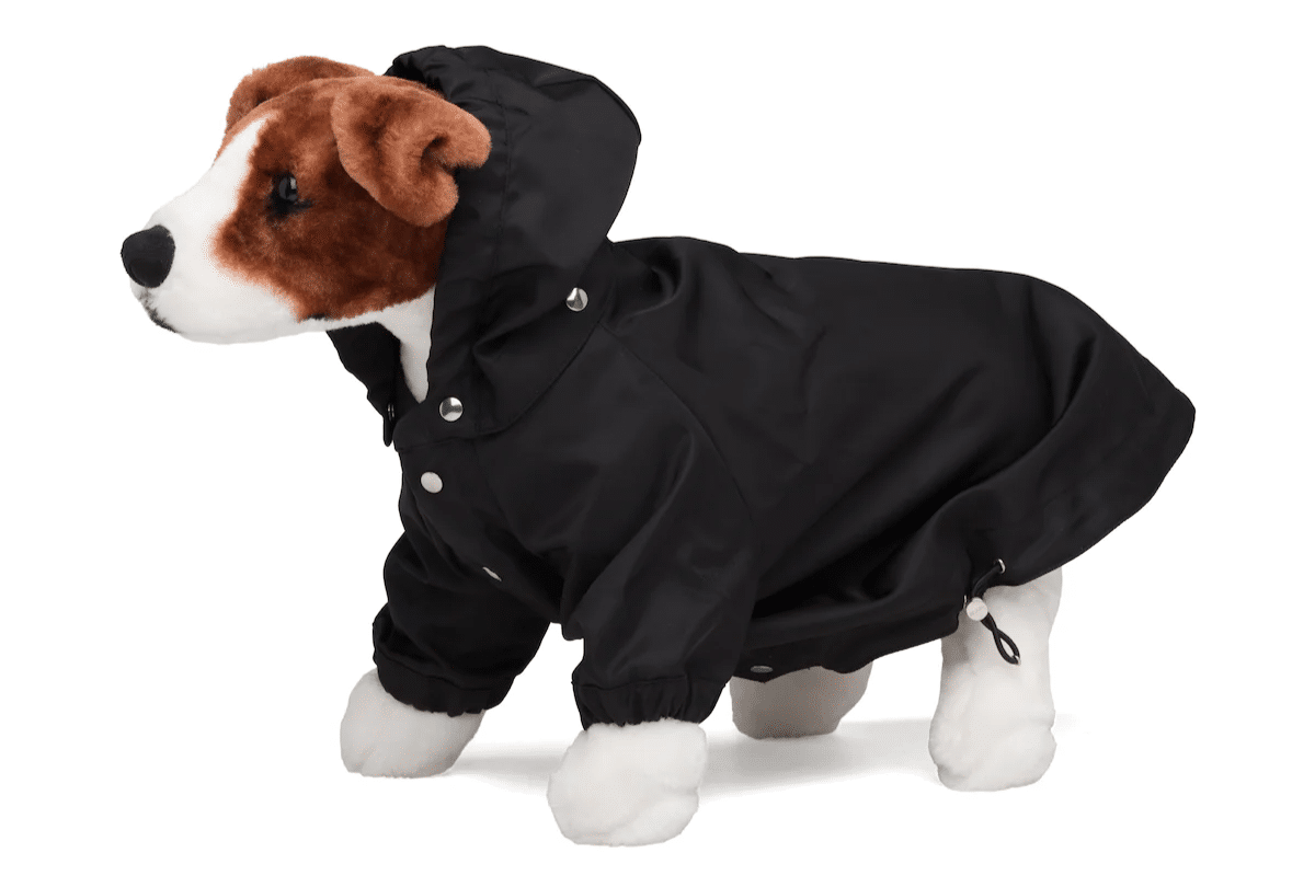 700 Prada Dog Coat is a Fitting Accessory for a Pack Leader Man of Many