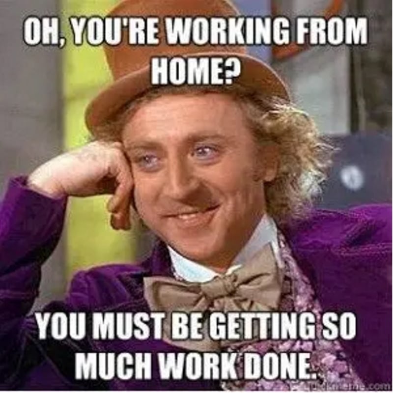 40+ Funny Working From Home Memes (WFH) Man of Many
