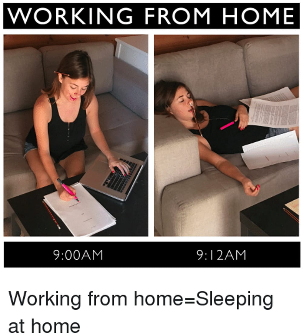 Incredible Compilation Hilarious WorkfromHome Funny Images in Full 4K Resolution (Contains
