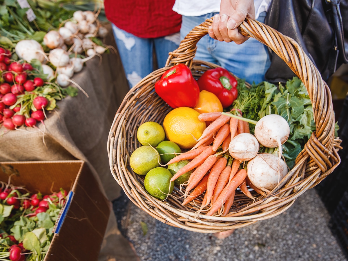 19 Best Brisbane Markets A Complete Guide Man of Many