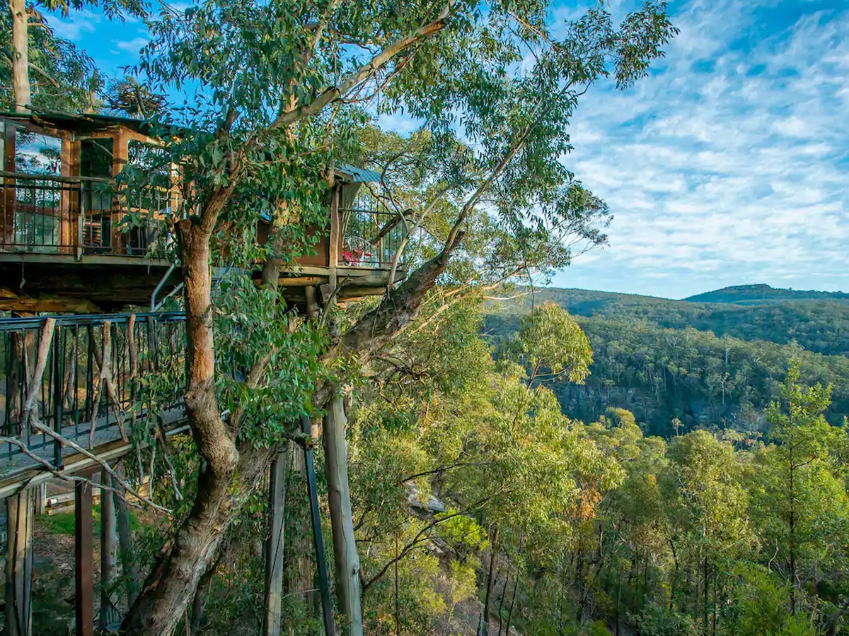 6 Spots for the Best Treehouse in NSW Man of Many