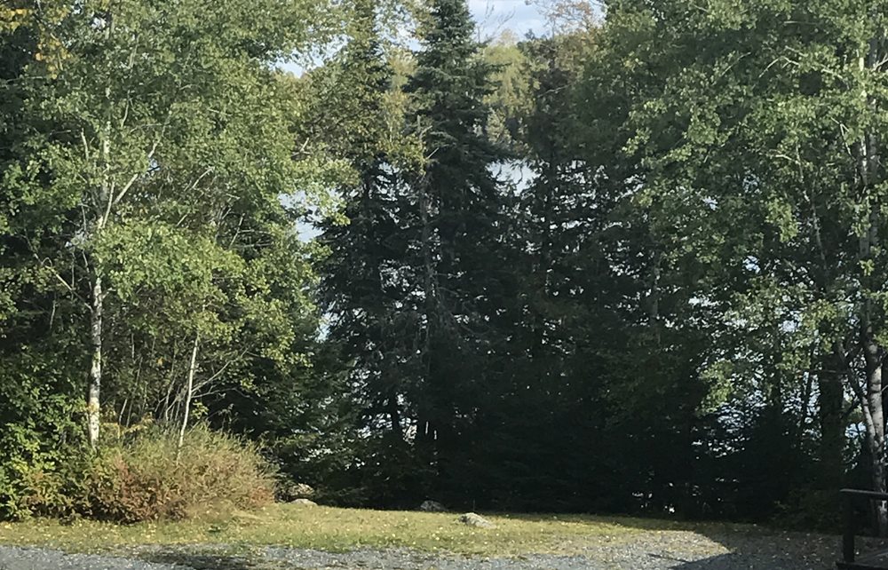 Cabin 4 Perrault Lake Ontario Resort Manotak Lodge