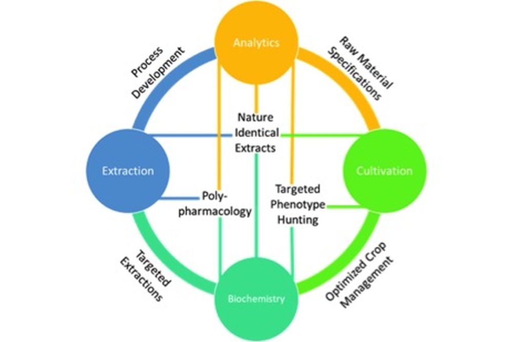 extractiongraphic M A N O X B L O G