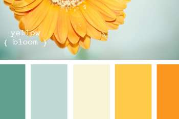Barncolor Featured