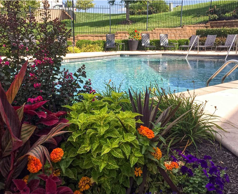 Apartments in Lenexa, KS Mansions at Canyon Creek