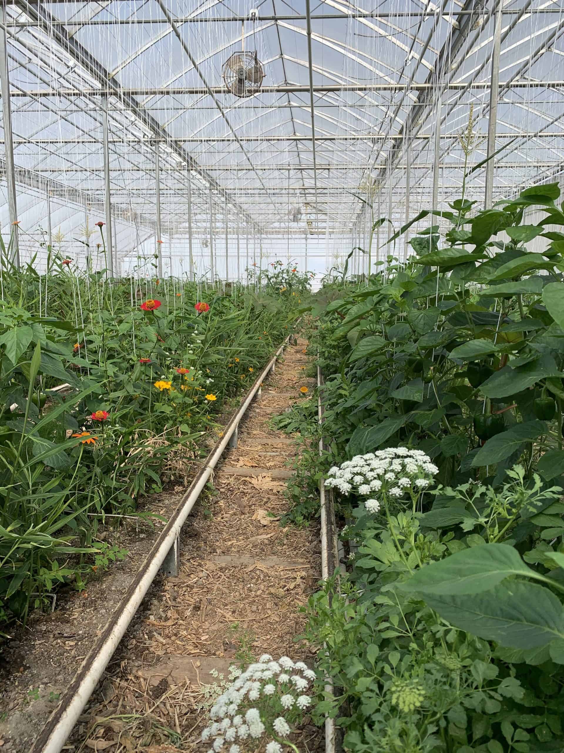 Farm & Greenhouse Mans Organics