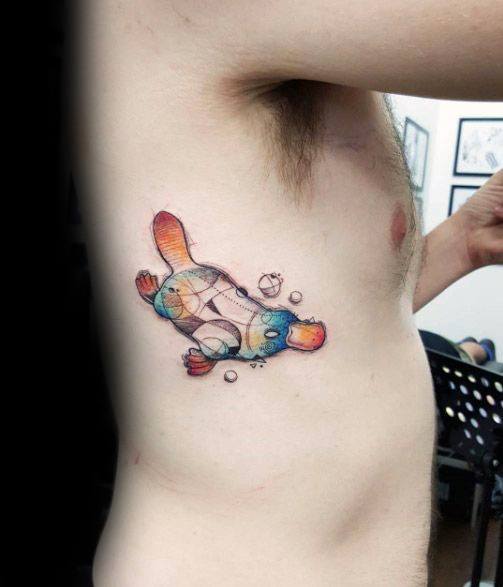 50 Platypus Tattoo Designs für Männer Animal Ink Ideen Mann Stil