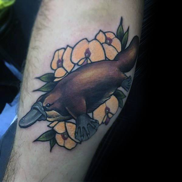 50 Platypus Tattoo Designs für Männer Animal Ink Ideen Mann Stil
