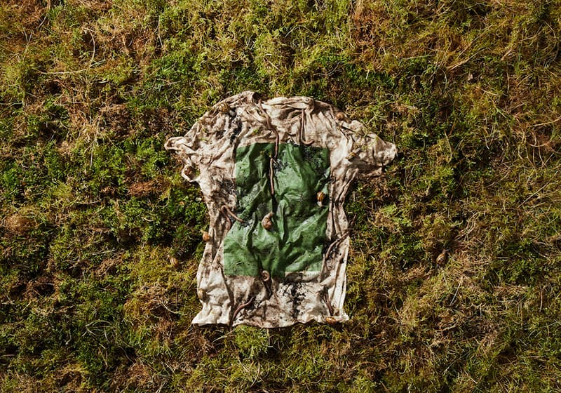 Biodegradability in fashion all you need to know Manteco