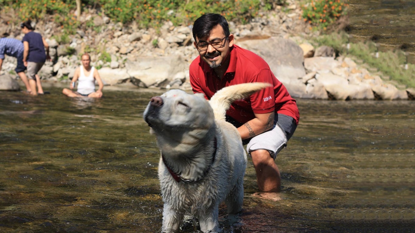 Pet Friendly Resorts in Rishikesh Riverside Resort in Rishikesh