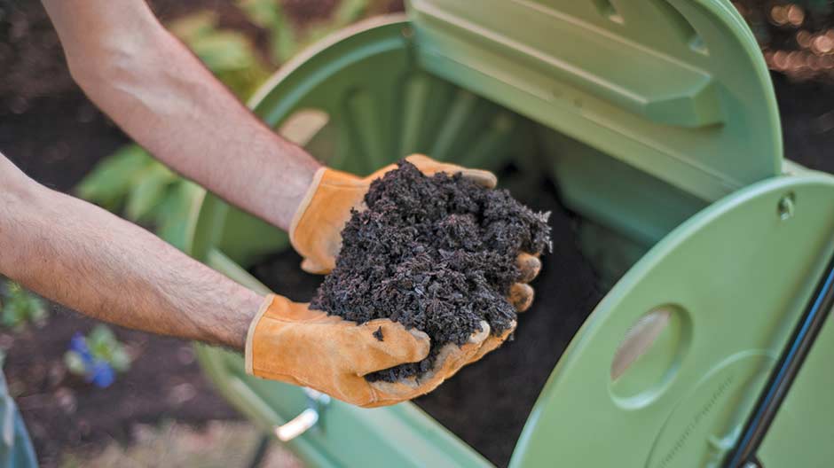 Mantis Home - Mantis