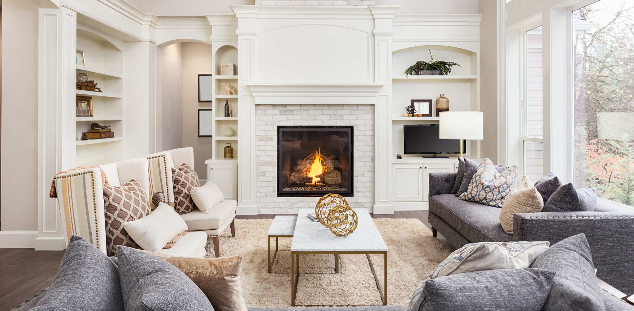 Mole Control Pest Library Guide Mantis Pest Solutions