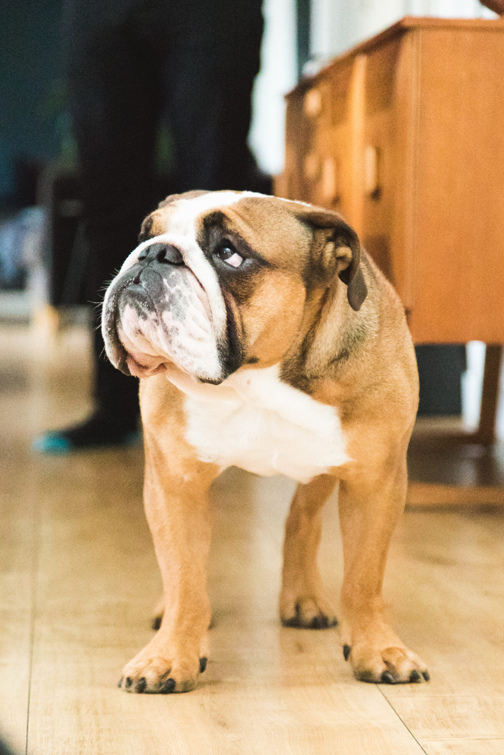 Why Your Business Needs To Use Video Manto