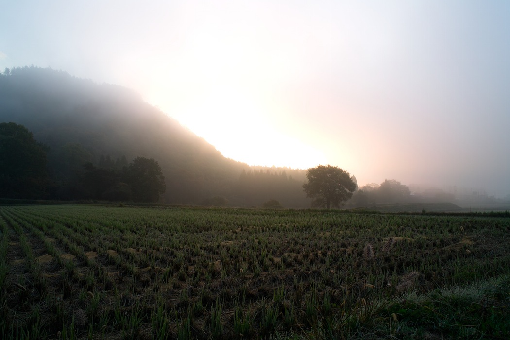 show 使い方マニュアル【簡易版】