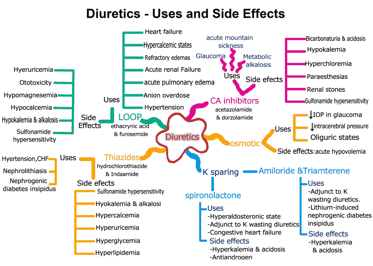 Ceiling Effect Of Loop Diuretics Shelly Lighting