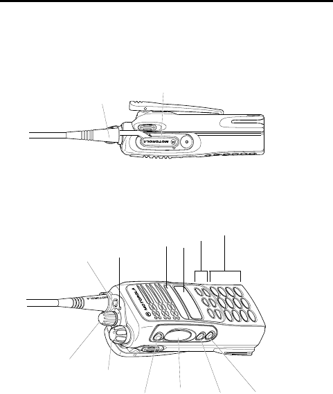 Manual Motorola GP380 Walkie-talkie