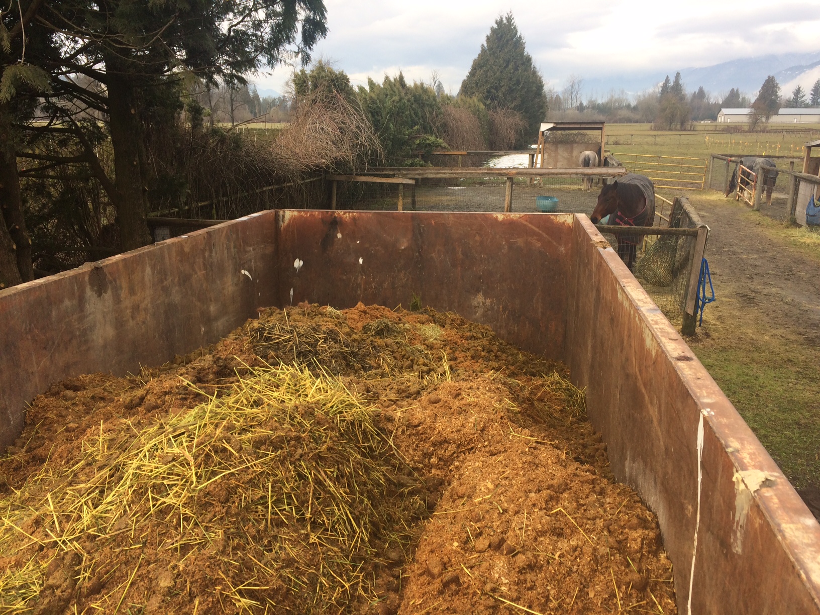 Horse Manure Compost Bin Design DesaignHandbags