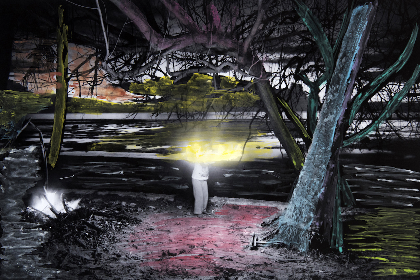 Island of the Colorblind manwithoutqualities