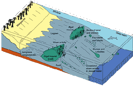 Limestone Formation Process