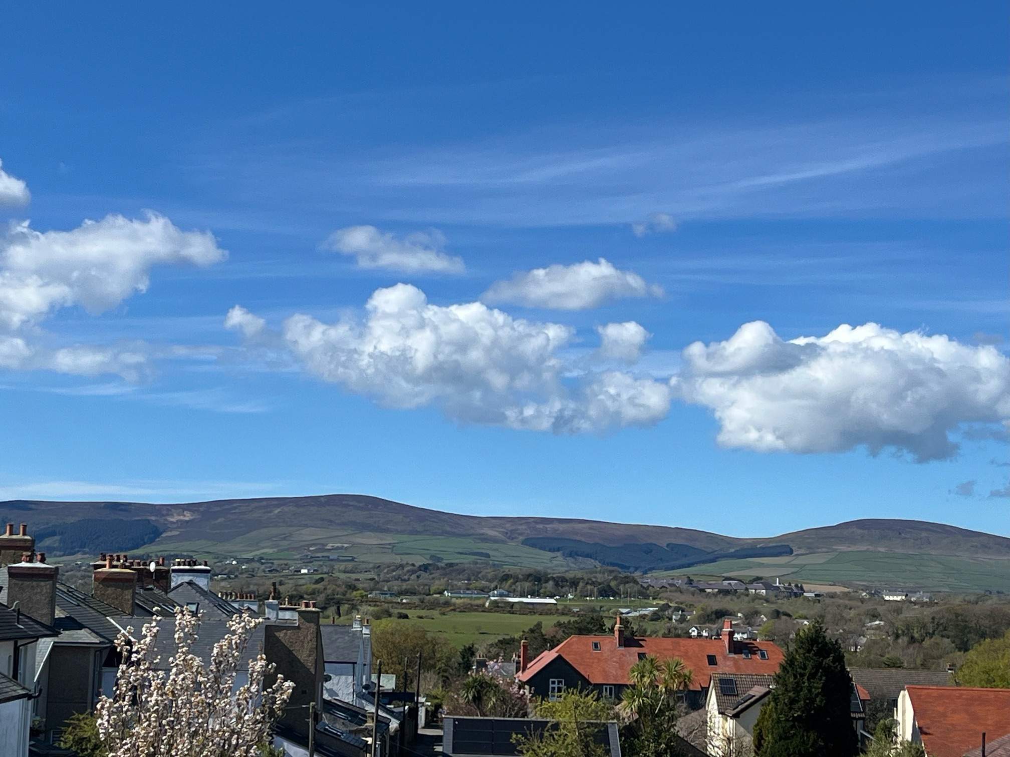 Mayfield 26 Albany Road, Douglas IM2 3NG ManxLiving Isle of Man Property