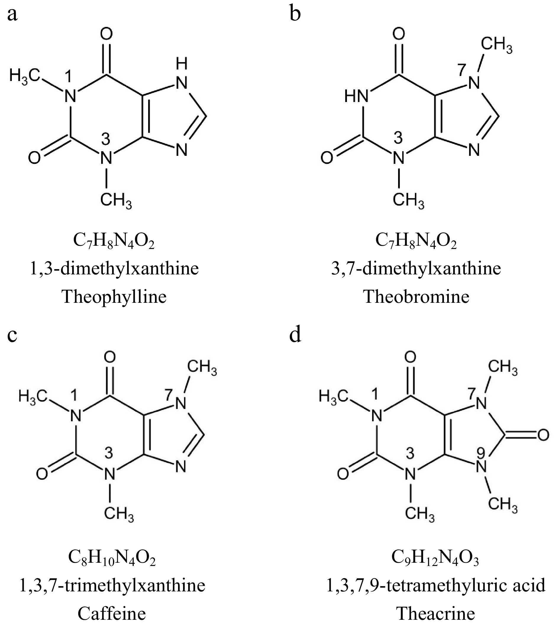 Purine alkaloids in tea plants component, biosynthetic mechanism and