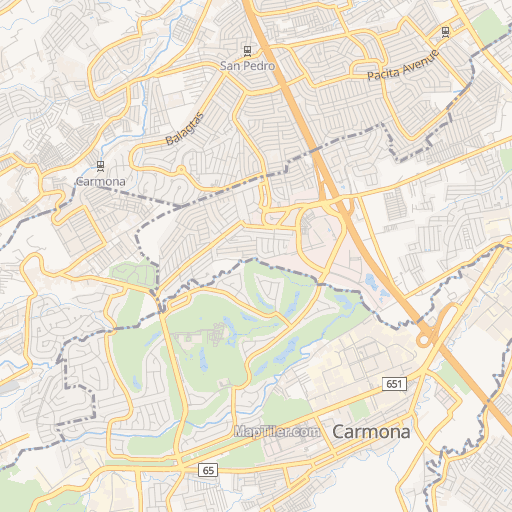 Chrysanthemum Village San Pedro Laguna Barangay