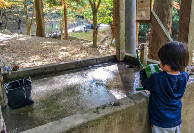 一本松公園(昭和の森)キャンプ場 キャンプクエスト
