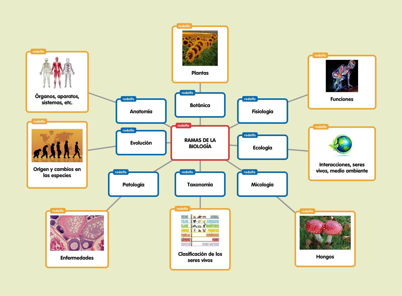 Mapa conceptual de biología ¡Guía paso a paso!