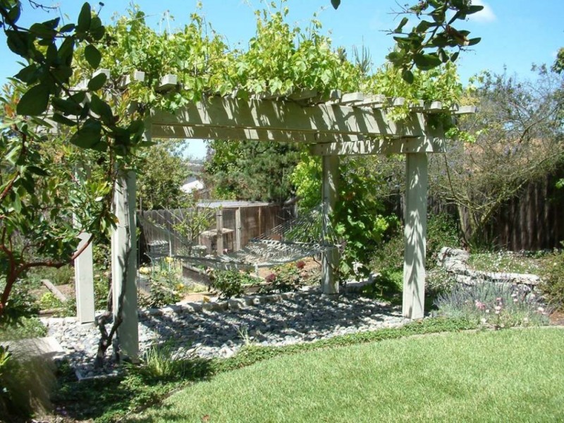 pergola bois pour kiwi