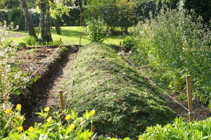 Realiser Un Potager En Carre Facon Permaculture Ma Passion Du Verger