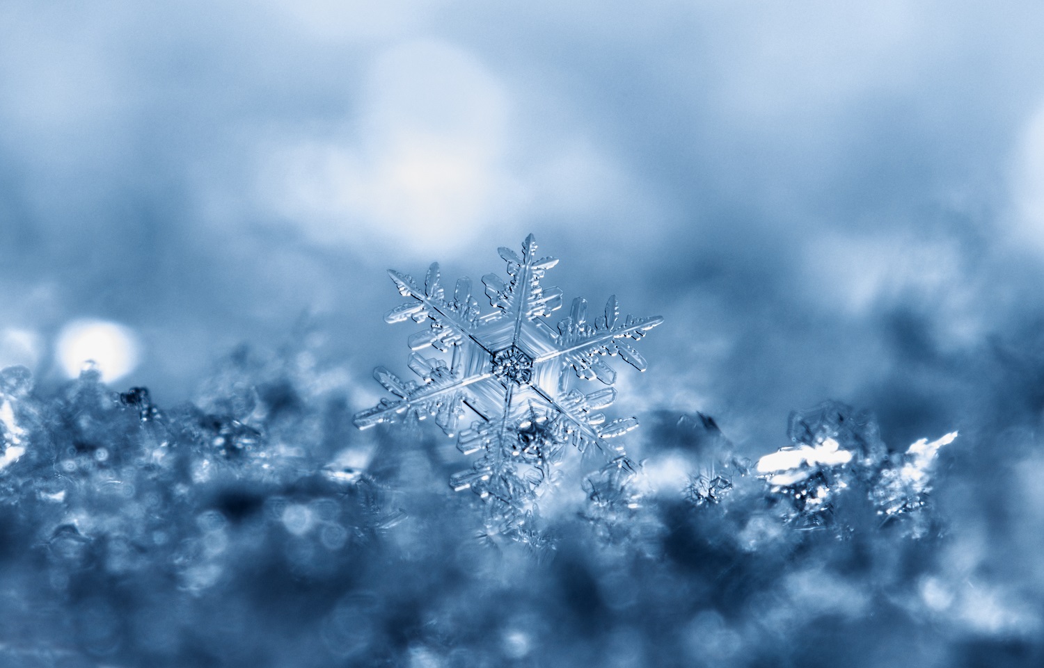 Comment se forme la neige ? Mapiwee répond aux questions des enfants
