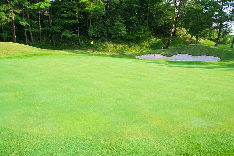 HOLE 2 メイプルヒルズゴルフ倶楽部