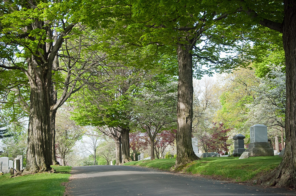 About Us Maple Hill Cemetery Association